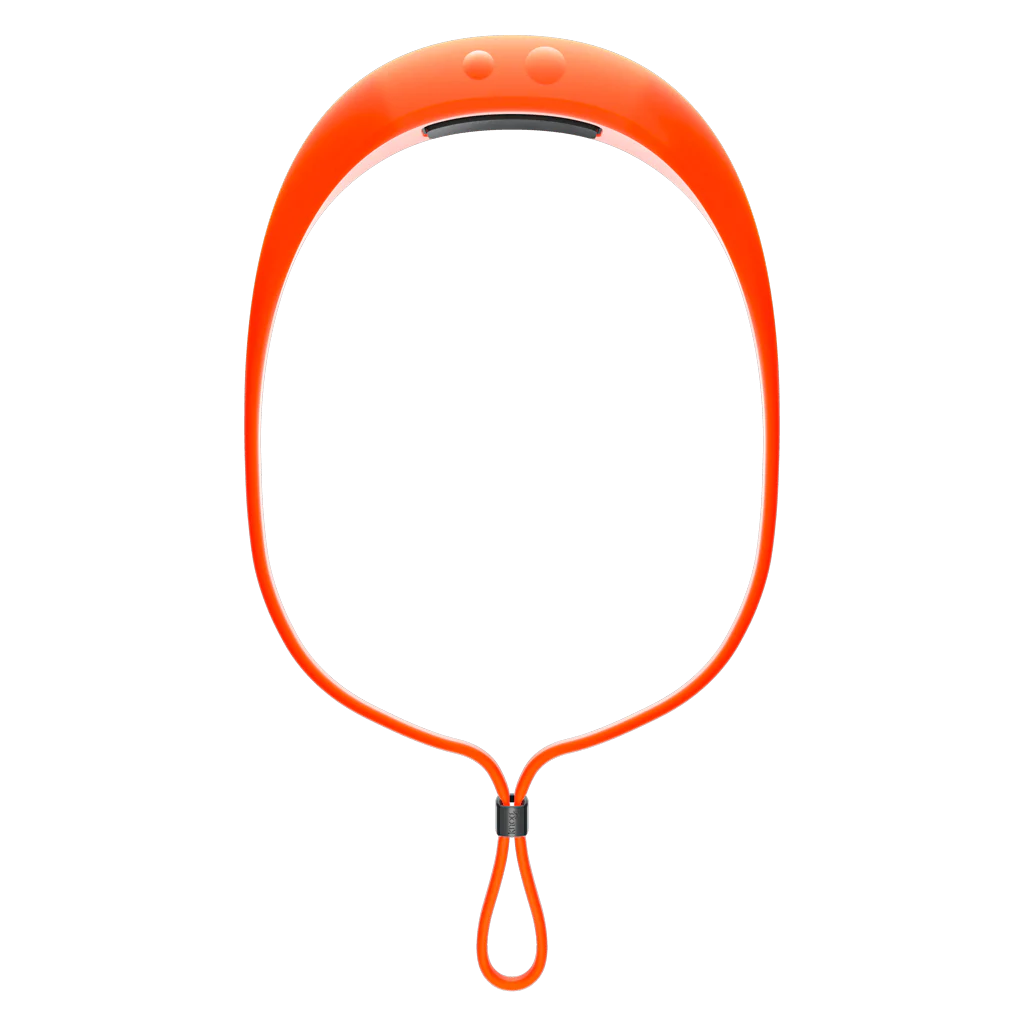 Bandicoot 250 Headlamp - Image 20